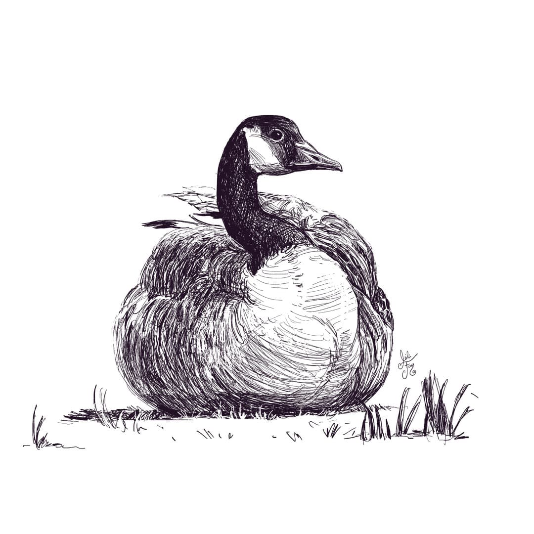 Canadian Goose Spot Illustration: Sitting